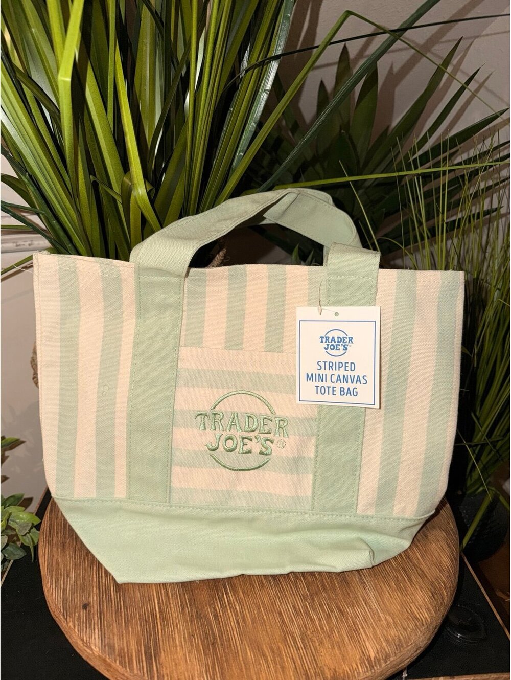 Trader Joe's Striped Mini Canvas Tote Bag